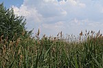 20180512_Rakusko2018_113